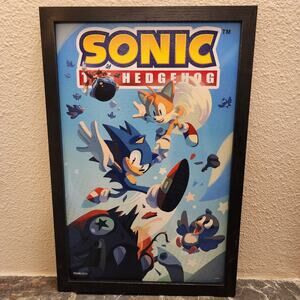Poster - Sonic The Hedgehog, Flying Birds, 12 x 18 inch Gel-Coated Framed (NEW)